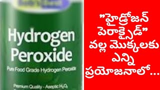 హైడ్రోజన్ పెరాక్సైడ్ ను మొక్కలకు ఎలా వాడాలిTop 5 Uses of Hydrogenperoxide in Gardening H2O2 [upl. by Maurreen]