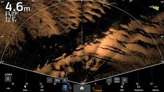 Garmin Livescope LVS34  Perspective View scoping out a drop off saltwater [upl. by Falito]