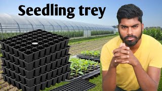 seedling trey  seedling tray for tomato  seedling tray size  seedling tray planting [upl. by Anaynek]