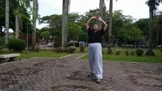 Taiji Qigong Shibashi  Set 1 [upl. by Regnij]