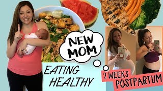 NEW MOM LIFE  Newborn Routine  Eating Healthy  2 WEEKS POSTPARTUM [upl. by Eiclehc339]