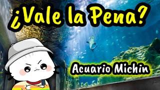 Fui al Acuario MÁS FAMOSO de México  ACUARIO MICHIN [upl. by Blount411]