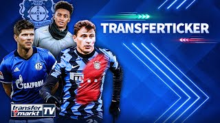 Inters Barella zu Bayern  HuntelaarRückkehr ist fix  Leverkusen an Gray dran  TRANSFERMARKT [upl. by Aterg919]