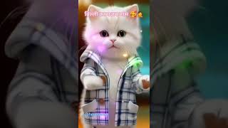 CAT video dance 😘😘capcut bhojpuri dog dancevideo trend lovesong [upl. by Hcab]