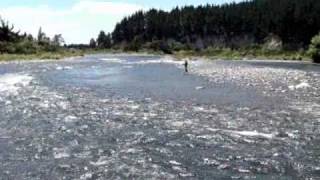 Flyfishing the Tongariro River New Zealand [upl. by Goldina]