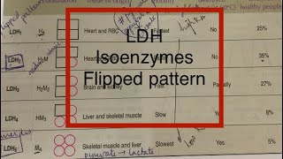 LDH isoenzymesLactate dehydrogenase isoenzymesflipped pattern [upl. by Arraic]