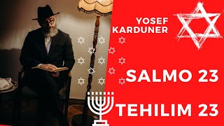 Tehilim 23 subtítulos Español  Hebreo  fonetica Yosef Karduner Salmo 23 [upl. by Aicilram448]