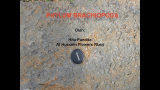 PALEONTOLOGI  FILUM BRACHIOPODA [upl. by Fawcett]