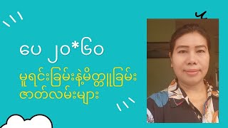 မူရင်းခြမ်း၊မိတ္တူခြမ်းသမား​တွေ သိသင့်တဲ့အချက်များ [upl. by Zondra272]