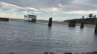 MV Salish ferry has soft grounding at Coupeville Ferry Terminal [upl. by Vivianna609]