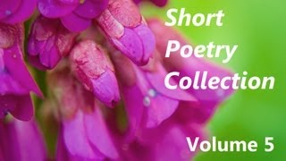 Short Poetry Collection Volume 5  FULL Audio Book  Best Poems Poetry and Poets [upl. by Cavit883]