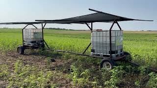 Livestock Shade and Watering System  Salina Farm [upl. by Ehsom120]