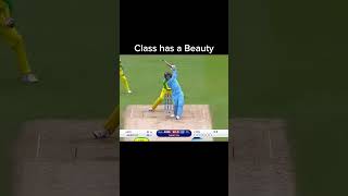 Jason Roy Batting beauty 🔥 jasonroy cricket cricketlover [upl. by Essirehc]