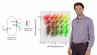 Synthetic Biology Engineering bacteria with CRISPR  David Bikard [upl. by Ssirk863]