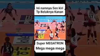 Kecerdasan Megawati hangestrimegawatihangestrimegatron redspark shortvideo [upl. by Anisor]