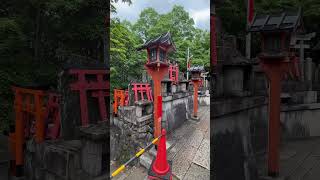 Summit of fushimi Inari fushimiinaritaisha inari kyoto tokyo japan fun summit heritage song [upl. by Nileek]