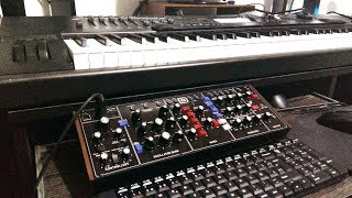 Behringer Model D  ELP From The Beginning Lead [upl. by Ide275]