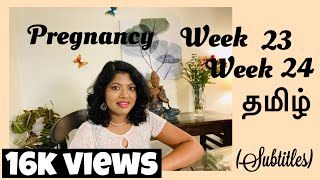 Pregnancy week 23 in Tamil  24 weeks pregnant Tamil  Glucose screening test in Tamil [upl. by Annair142]