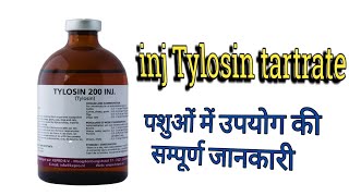 Tylosin tartrate inj use in veterinary Tylosin inj का पशुओं में उपयोग [upl. by Ynohtnakram179]