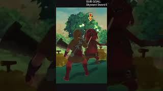 One of the COOLEST Zelda glitches [upl. by Euqinmod265]