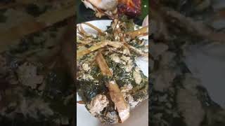 The best bicol Pinangat Recipe  tinumok na dahon ng gabi short [upl. by Llerral]