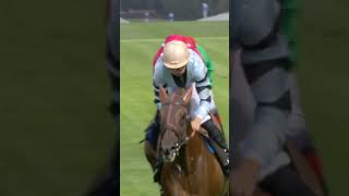 ⚠️ ATTENZIONE ⚠️ PEROTTO picked the pocket of FOX TAL at Ascot last weekend 👀  Shorts [upl. by Attaymik123]