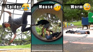 How Different Animals Use The Playground Part 12 Compilation [upl. by Carce]