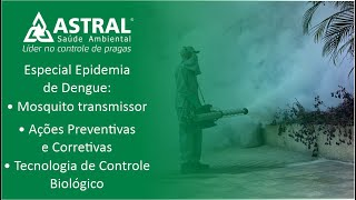 Especial Epidemia de Dengue [upl. by Milo955]