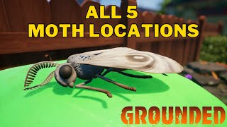 All 5 Moth Locations in Grounded  Where To Find Moths in Grounded [upl. by Yenolem786]