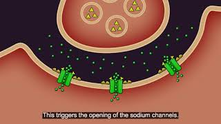 Resistance101  Insecticide classes amp modes of action [upl. by Caraviello]