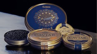 Sturgeon Caviar Lemberg [upl. by Anelhtac]