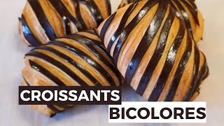 Comment faire des croissants bicolores Ma technique pour réussir des viennoiseries bicolores [upl. by Merrily]