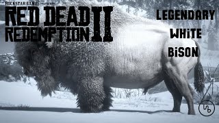 Hunting the Legendary White Bison white bison in rdr2 [upl. by Asante23]