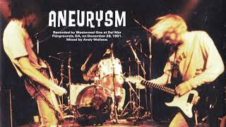 Nirvana Aneurysm Backing Track For Guitar With Vocals [upl. by Rol462]