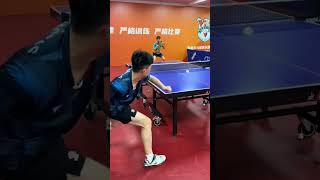 Professional shock absorbers pingpong pingpongtable tabletennis [upl. by Wendalyn]