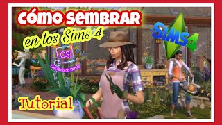 Tutorial Como cultivar en Los Sims 4 rápido y sencillo [upl. by Raskin375]