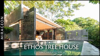 Modern Brutalist Architecture Blended with Nature  Ethos Tree House [upl. by Salesin]