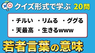 【若者言葉・ネットスラング】コメント欄・SNSで見かける若者言葉やネットスラングをクイズ形式で楽しく学ぶ！ [upl. by Htebharas225]