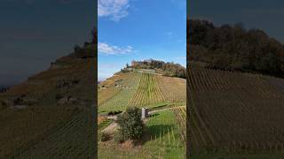 Burg Staufen im Breisgau 🇩🇪 Hochschwarzwald schwarzwald burg ruine deutschland dji mini4pro [upl. by Farhi]