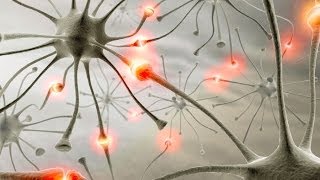 How We Learn  Synapses and Neural Pathways [upl. by Orth]