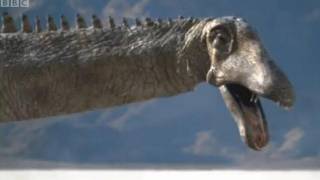 Diplodocus Herd  Walking with Dinosaurs Ballad of Big Al  BBC [upl. by Stent546]