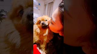 Rimorav Vlogs Fudge Cute Edits  Rimorav Vlogs shorts puneetsuperstar [upl. by Casper]