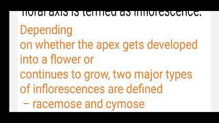 INFLORESCENCE amp ITS TYPES  NEET  11TH NCERT inflorescence NCERTATEASE [upl. by Martell559]