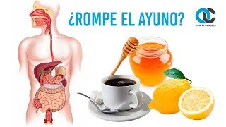 ¿Qué alimentos rompen el ayuno [upl. by Cato]