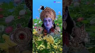 Krishna motivational motivation quotes viralvideo [upl. by Ettegirb311]