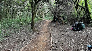 Mount Kilimanjaro Hike Day 1 amp 2  To Mti Mkubwa and Shira 1 Camp  Lemosho Route [upl. by Stryker280]