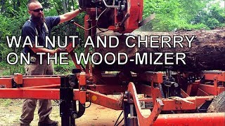 SAWING WALNUT AND CHERRY ON THE WOODMIZER [upl. by Leunamnauj]