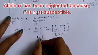 Backcross Method  Transfer of Dominant Gene  Plant Breeding  KU BSc Agriculture [upl. by Atiuqan]