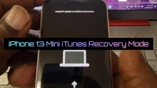 Follow These Steps To Restore Your iPhone 13 Mini  iTunes Recovery Restore Mode [upl. by Pinette]