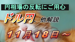 【TAKA FX】円相場の買戻しに要警戒！ ドル円他各通貨の環境認識解説。各種指数、GOLDなど 11月18日月～ [upl. by Isoais]